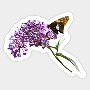 Butterfly Bush - Skipper on Purple Butterfly Bush Sticker